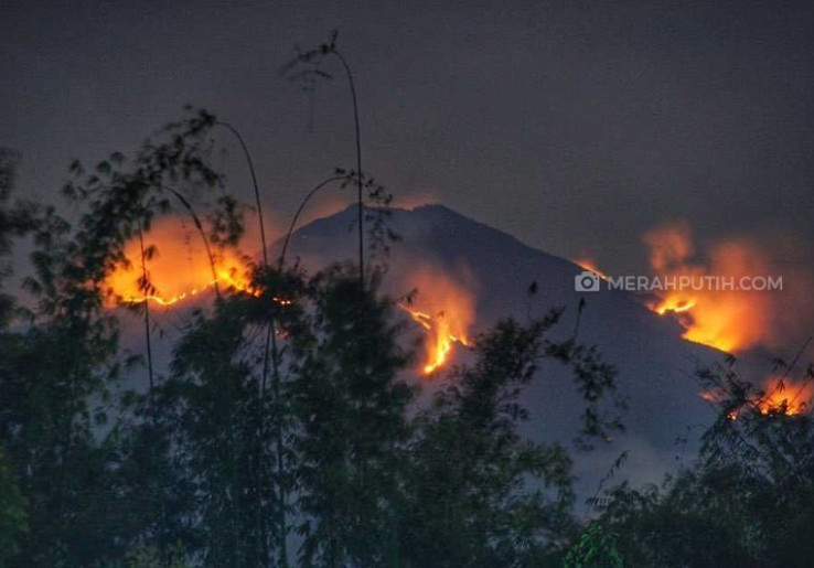   Sekitar 150 Hektare Hutan Gunung Merbabu Terbakar Meluas Sampai Semarang 