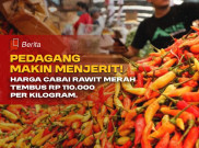 Pedagang Menjerit! Harga Cabai Rawit Merah Tembus Rp 110 Ribu Perkilo Setara Harga Daging