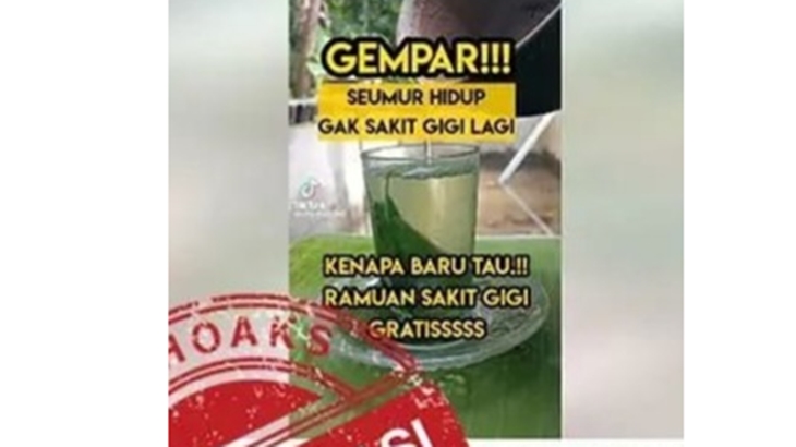 [HOAKS atau FAKTA]: Rebusan Daun Jeruk dan Garam Ampuh Sembuhkan Sakit Gigi