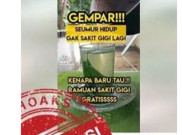 [HOAKS atau FAKTA]: Rebusan Daun Jeruk dan Garam Ampuh Sembuhkan Sakit Gigi