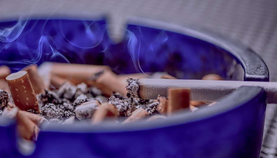 Menghilangkan racun (Sumber: Pixabay/Alexas_Fotos)
