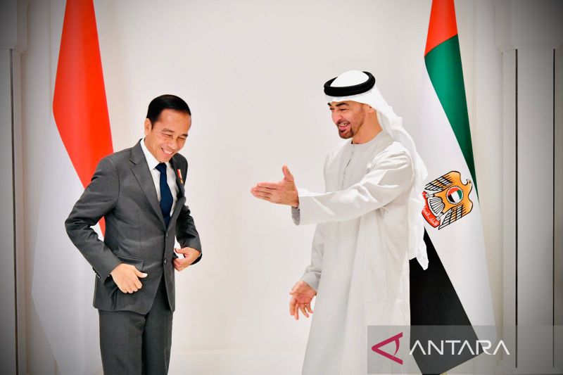 Jokowi dan Presiden UEA Bahas Kerja Sama Investasi di IKN