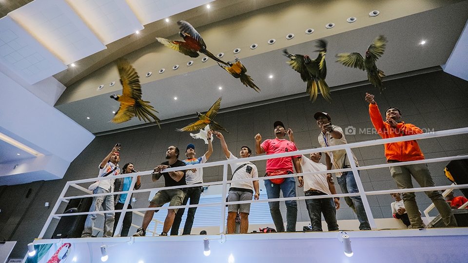 Mengenal Hewan Peliharaan di Jakarta Indonesia Pet Show 2019