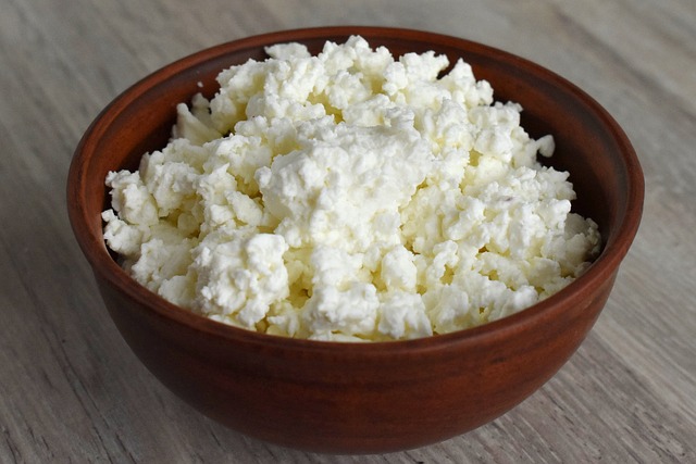 Cottage cheese cocok untuk anjing. (Foto pixabay/Enotovyj)