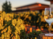 Berlibur di Swan Valley, Australia Barat, Bisa Cicip Wine dan Belajar Budaya Aborigin