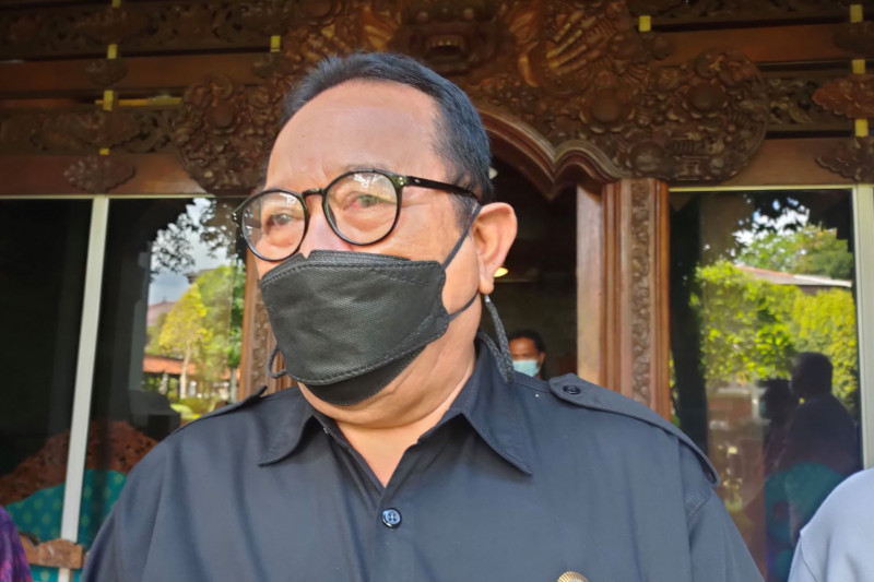 Wakil Gubernur Bali Tjokorda Oka Artha Ardhana Sukawati. (Foto: Antara)