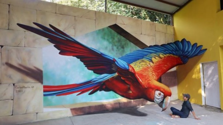 Karya Ilusi 3D Seniman Jalanan Gegerkan Dunia Maya 
