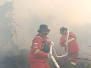 Habitat Harimau Sumatera di Riau Terbakar, Kemenhut Turunkan Tim BBKSDA Riau