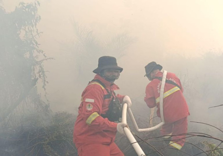 Habitat Harimau Sumatera di Riau Terbakar, Kemenhut Turunkan Tim BBKSDA Riau