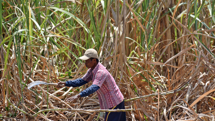 Petani Tebu Minta HPP Gula Direvisi
