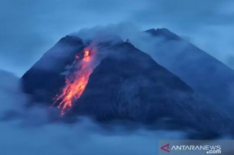 Erupsi Gunung Merapi Terkini: 3 Kali Guguran Lava Pijar hingga 1,5 Km
