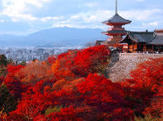 5 Permata Tersembunyi di Jepang, Wajib Dikunjungi