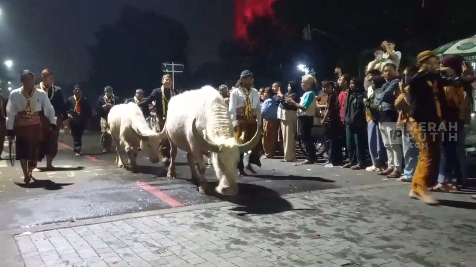 Keraton Solo Gelar Kirab Malam Satu Suro, Bawa Kerbau Bule dan Pusaka