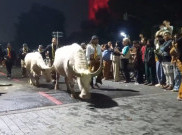 Keraton Solo Gelar Kirab Malam Satu Suro, Bawa Kerbau Bule dan Pusaka