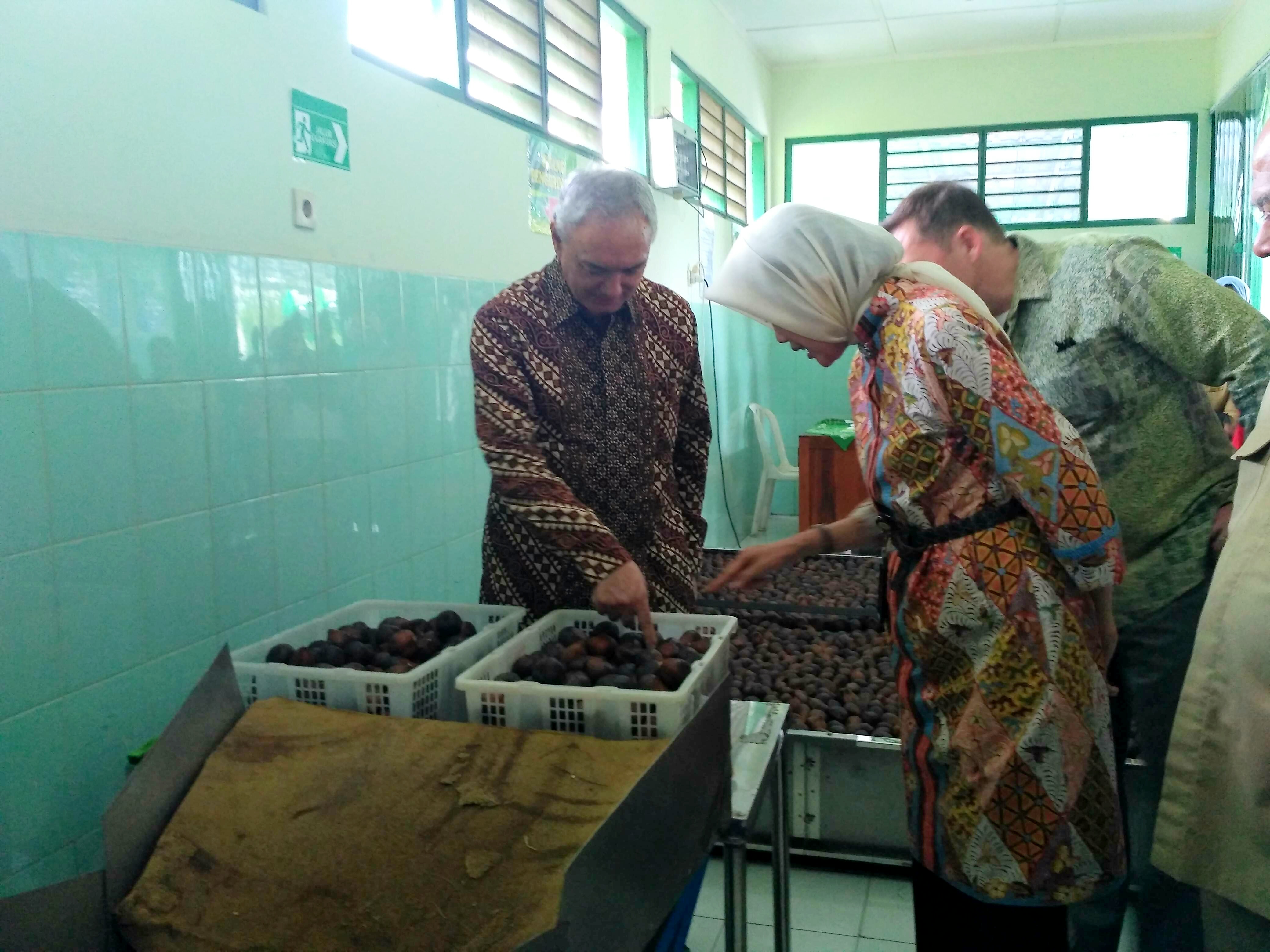 Salak Pondoh Sleman. (Foto: Teresa Ika)