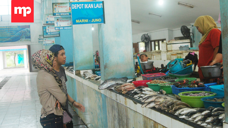 Pasar Ikan Segar Depok Surganya Wisatawan Pecinta Seafood di Yogyakarta