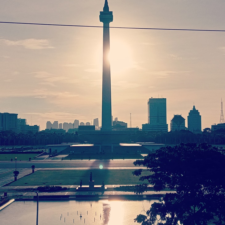monas