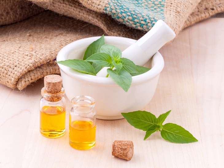 Nyamuk tidak menyukai minyak lemon eucalyptus. (Foto: Pixabay/kerdkanno)