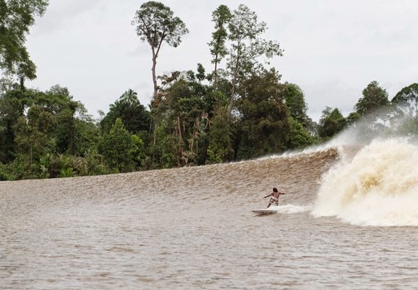 desa teluk meranti