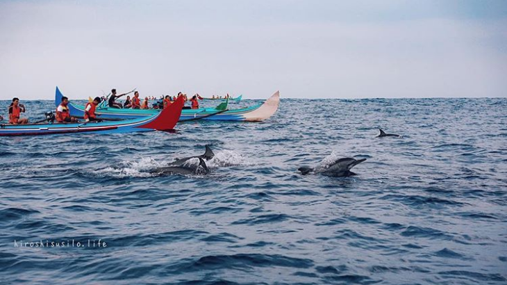 Tarian Limba-lumab di Teluk Kiluan. (Instagram/@hiroshisusilo.life)