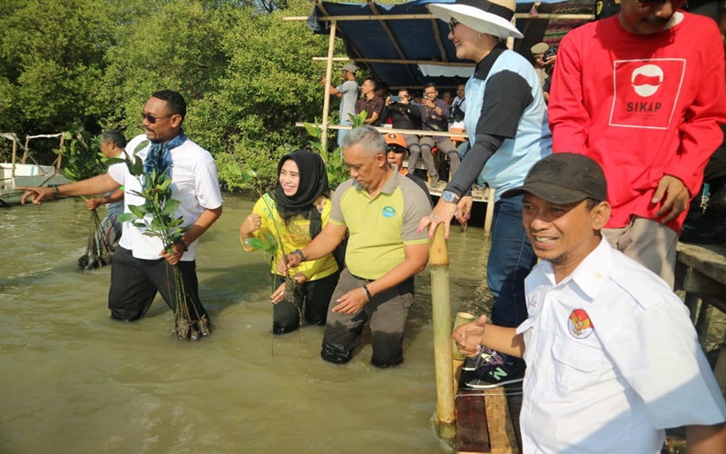 Giat penanaman Mangrove di Pantai Kota Cirebon