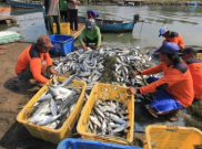 Kampung Ujung: Tempat Wisata Kuliner Malam di Labuan Bajo
