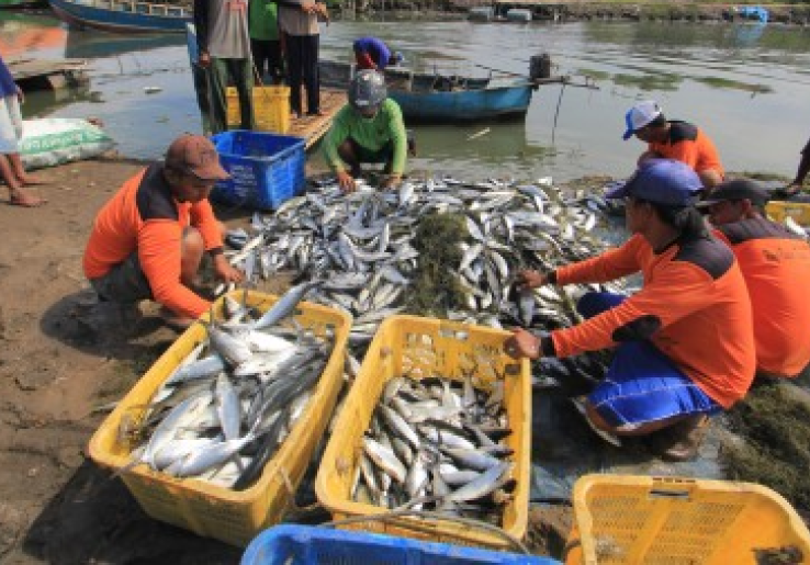 Kampung Ujung: Tempat Wisata Kuliner Malam di Labuan Bajo
