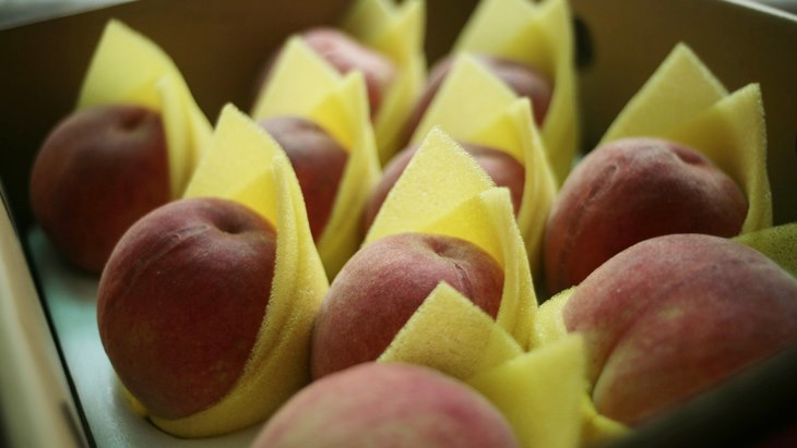 peach