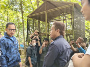 Bima Arya Minta Mini Zoo Bogor Ditutup Sementara