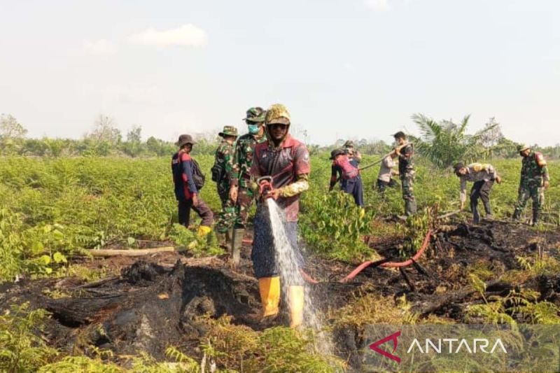 BPBD Laporkan Kebakaran Lahan di Kabupaten Aceh Barat Meluas hingga 50,2 Ha, Simak Rinciannya