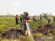 BPBD Laporkan Kebakaran Lahan di Kabupaten Aceh Barat Meluas hingga 50,2 Ha, Simak Rinciannya