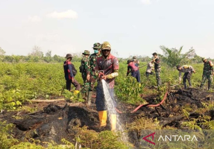 BPBD Laporkan Kebakaran Lahan di Kabupaten Aceh Barat Meluas hingga 50,2 Ha, Simak Rinciannya