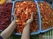 Satgas Pangan Polri Temukan Harga Cabai Rawit Merah Naik Jelang Iduladha