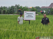 KPK Sita 4 Properti Rp 22 Miliar Terkait Korupsi Lahan Rorotan, Termasuk Apartemen di Serpong