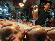 Harga Ayam Kampung di Ambon Melambung Tinggi