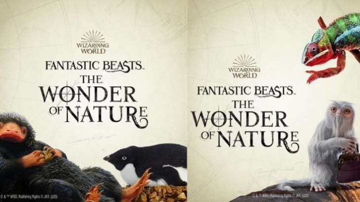 Mengenal Satwa Gaib di Natural History Mesum London