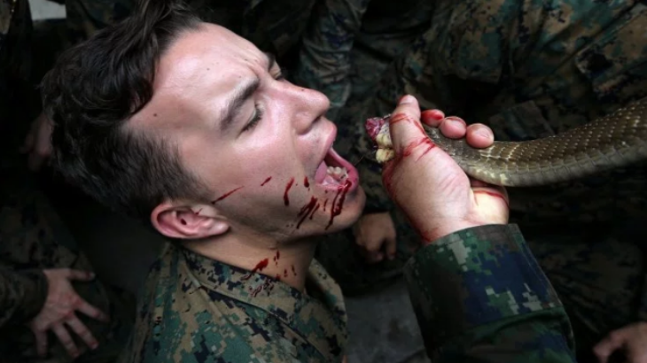 Ngeri, Aksi Marinir Amerika Serikat Minum Darah Ular Cobra di Cobra Gold 2018