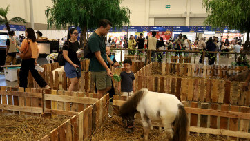 Menilik Pameran Hewan Peliharaan yang Mengemaskan dalam Gelaran Pet Fest 2025 di ICE BSD 