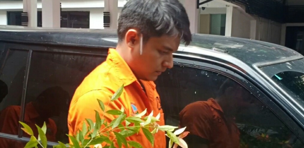 Aulia
