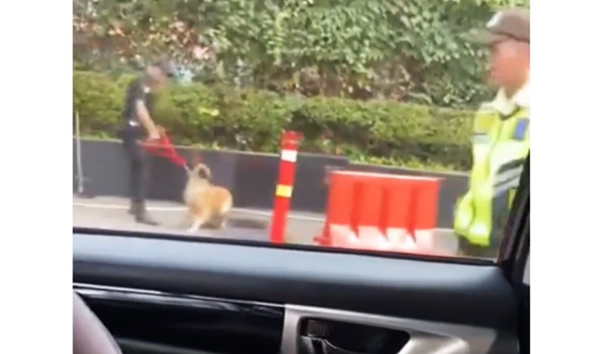 Pihak Plaza Indonesia Merespon Kasus Animal Abuse yang Dilakukan Security Mall-nya