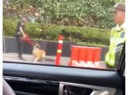 Pihak Plaza Indonesia Merespon Kasus Animal Abuse yang Dilakukan Security Mall-nya
