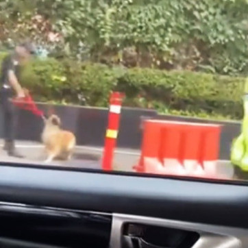 Pihak Plaza Indonesia Merespon Kasus Animal Abuse yang Dilakukan Security Mall-nya