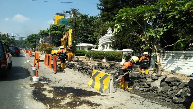 Ini Alasan Pemprov DKI Tebang Pohon di Kawasan Cikini