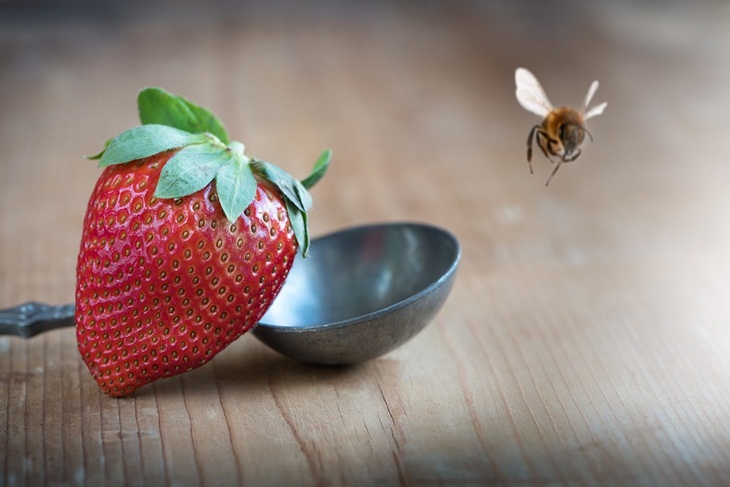 Campuran stroberi dan madu dapat mencegah tanda penuaan pada wajah. (Foto: Pixabay/Pezibear)