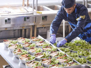 IKEA Rayakan 'Hari Vegan Sedunia'