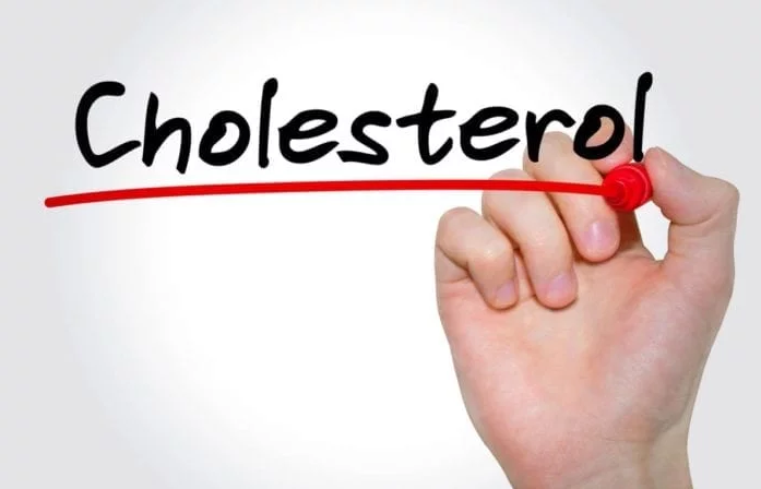 Bisa mengurangi kolesterol jahat (Sumber: FamilyDoctor.org)
