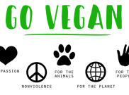 Kiat-kiat Mulai Diet Vegan, Sulit tapi Yakin Kamu Bisa