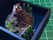 4 Hadiah Ulang Tahun yang Pas untuk Aquarius