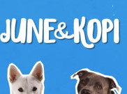 Tayang di Netflix, ‘June & Kopi’ Cocok untuk Pencinta Anjing