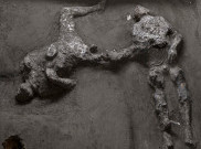 Penemuan Dua Sosok Manusia, Ungkap Aliran Kedua Piroklastik Pemusnah Peradaban Pompeii